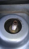 IMAG0270.webp