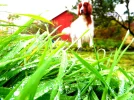 ted pond edit 1.webp