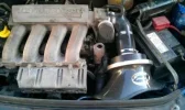clio simota.webp clio simota.webp