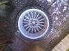 DSC00327.jpg
