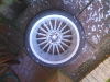 DSC00329.jpg