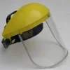 faceshield.webp