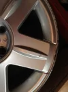 photo(10).webp