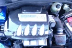 IMAG0055.webp
