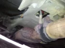exhaust.webp