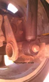 IMAG0180.webp