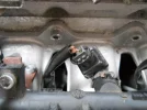 DSCN8830.webp