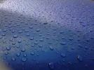 IMG00512-20120411-0931.webp