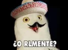 Mexican O RLY.webp