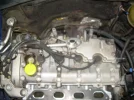 DSCN3754.webp