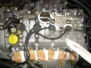 DSCN3756.webp