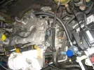 14.webp
