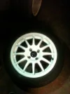 wayne 039.webp