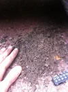 photo 4 (3).webp photo 4 (3).webp