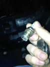 img0277lq.webp