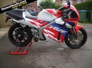 RVF.webp