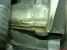 DSC00355.webp
