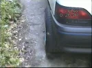 car 2.webp