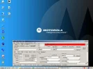 DT.webp