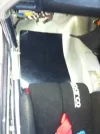 photo.webp