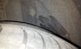 20120903_074833.webp
