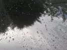228594_10151142754269672_18088438_n.webp