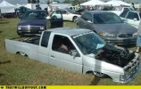 funny-car-photos-limbo-champion.webp