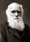 darwin_gallery5.webp