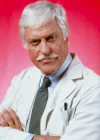mustaches_dickvandyke2.webp