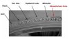 1279920202_17_FT1905_tyrre_stamp.jpg
