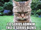 I_IZ_SERIUS_ADMNIM_THIZ_IZ_SERIUS_BIZNIS_lolcat.webp