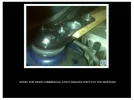 WOODSTRUT.webp