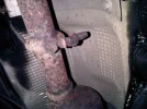 IMG00452-20121016-2030.webp