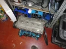 DSC00594.webp