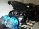 DSC08253.webp