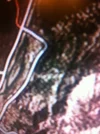 ImageUploadedByTapatalk1351548900.324540.webp