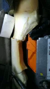 IMAG1028.webp