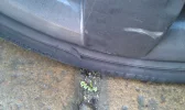 IMAG0401.webp