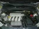P1000458.webp