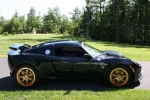 lotus reedo.webp