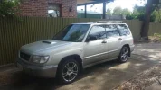 xpforester 006.webp