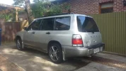 xpforester 005.webp