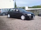 starlet 2.webp
