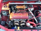 starlet 3.webp