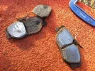 brakes 014_reduced.jpg brakes 014_reduced.jpg