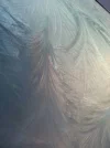 uploadfromtaptalk1358326271197.webp