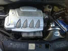 clio 2.webp