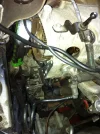 ImageUploadedByTapatalk1360019436.172664.webp