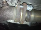 photo.webp