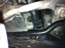 ImageUploadedByTapatalk1360193956.287174.webp